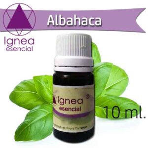 IGNEA - Aceite Esencial Albahaca x 10 ml