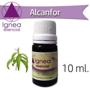IGNEA - Aceite Esencial Alcanfor x 10 ml