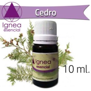 IGNEA - Aceite Esencial Cedro x 10 ml