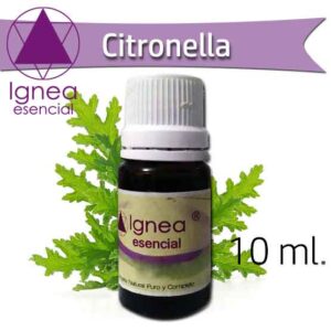 IGNEA - Aceite Esencial Citronela x 10 ml