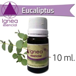 IGNEA - Aceite Esencial Eucaliptus x 10 ml