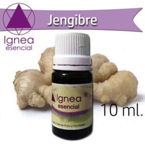 IGNEA - Aceite Esencial Jengibre x 10 ml