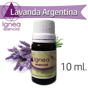 IGNEA - Aceite Esencial Lavanda  x 10 ml