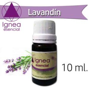IGNEA - Aceite Esencial Lavandin  x 10 ml