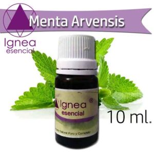 IGNEA - Aceite Esencial Menta Arvensis x 10 ml