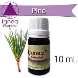 IGNEA - Aceite Esencial Pino x 10 ml