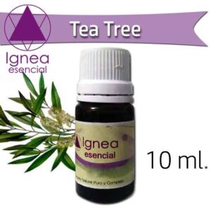 IGNEA - Aceite Esencial Tea Tree x 10 ml